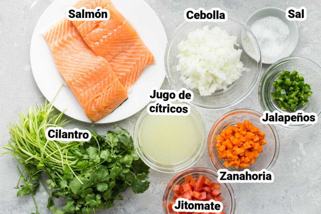 Ingredientes para ceviche de salmón con nombres.