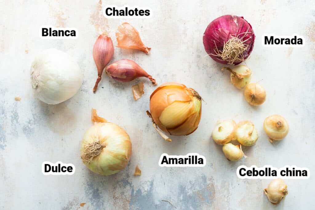 Diferentes tipos de cebolla: dulce, blanca, amarilla, chalote y china